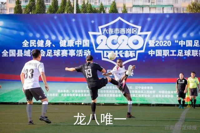 龙八唯一公司简介图片